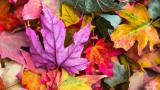 tidymodels package updates
